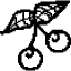 168飞艇官方网站图片